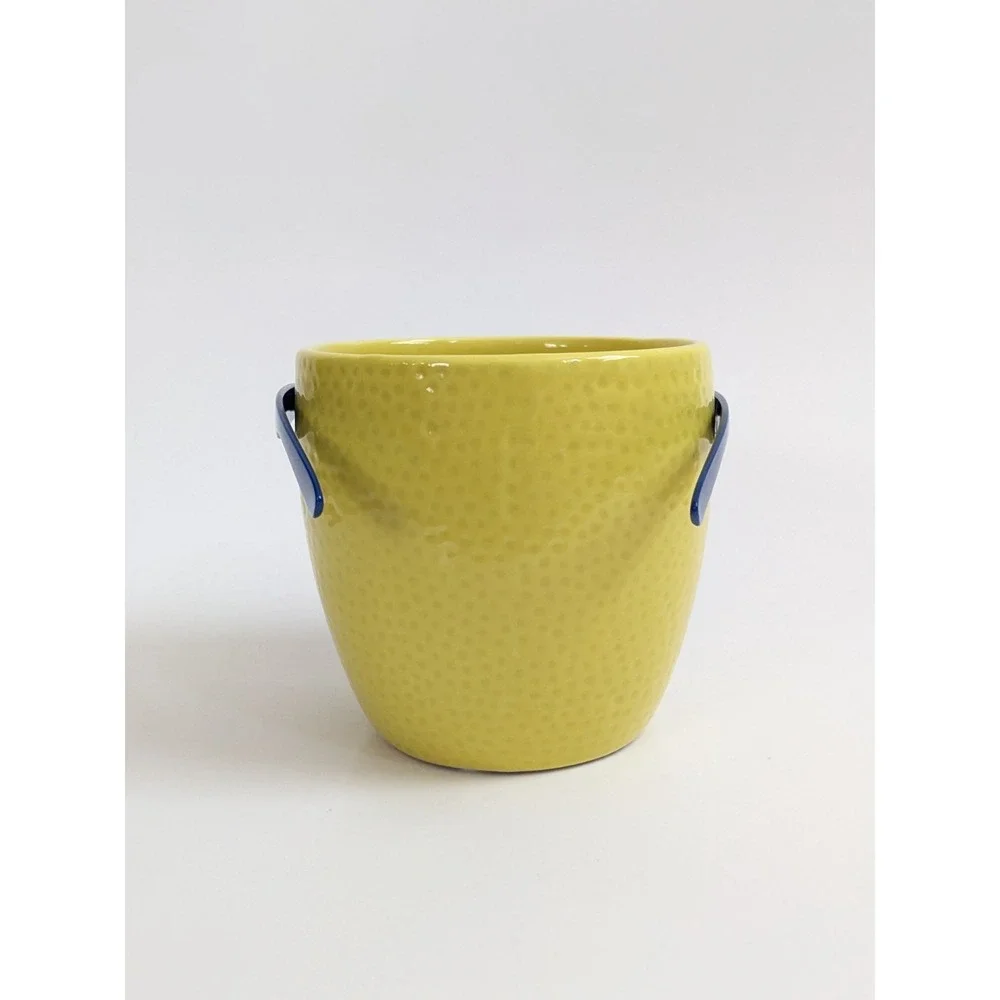Trader Joes Cool Fruit Ceramic Novelty Planter Lime Sunglasses PLANT NOT INCLUD